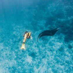 Snorkeling (4)
