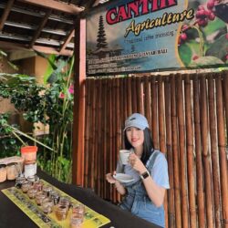 coffee-plantation